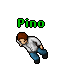 Pino