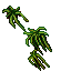 Plants (Object)