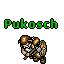 Pukosch