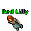 Red Lilly