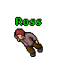 Ross
