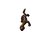 Salamander