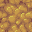 Salt-Incrusted Floor (Yellow)
