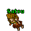 Satsu