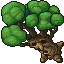 Sentient Oak (Slightly Strained)