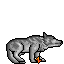 Sleeping War Wolf