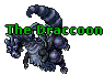 The Draccoon