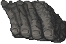 The Toes of the Colossus