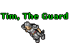 Tim, The Guard