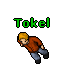 Tokel