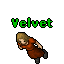 Velvet