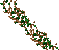 Vines