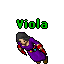 Viola