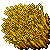 Wheat