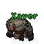 Xaver