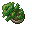 Zaoan Bonsai