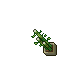 Zaoan Pot Bamboo