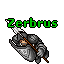 Zerbrus