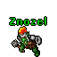 Znozel