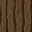 Dark Wood